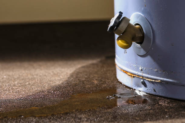 Best Basement water damage restoration  in Livingston, TX