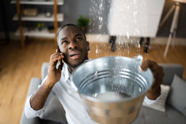 Best Water damage restoration specialists  in Livingston, TX