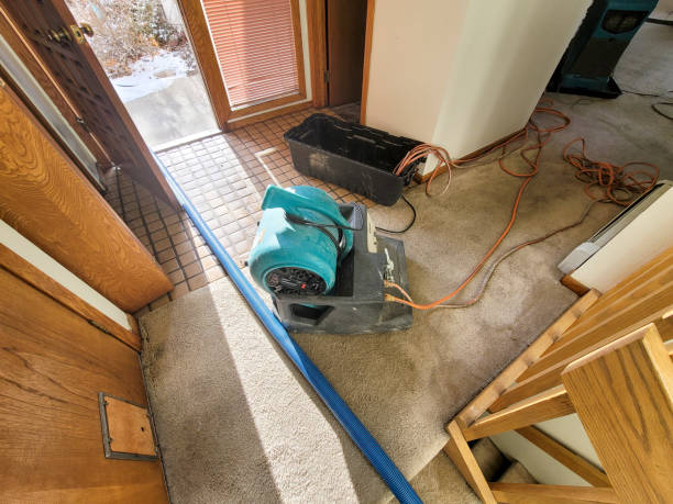 Best Carpet water damage restoration  in Livingston, TX