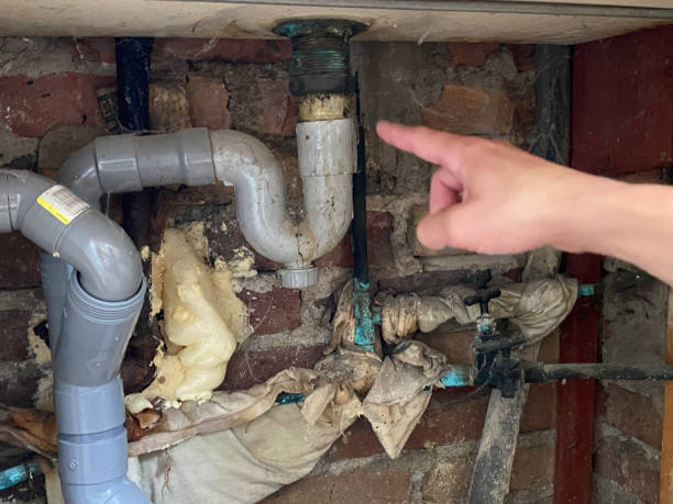 Best Flood damage cleanup  in Livingston, TX